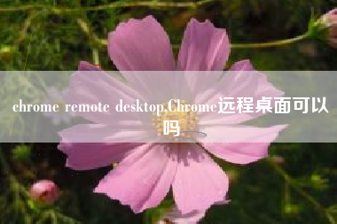 chrome remote desktop,Chrome远程桌面可以吗
